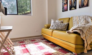 Se arrienda  AMOBLADO