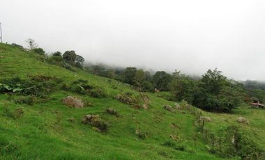 VENDO FINCA EN SAN ANTONIO DE TEQUENDAMA - LA VICTORIA