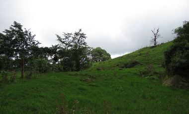 VENDO FINCA EN SAN ANTONIO DE TEQUENDAMA - LA VICTORIA