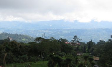 VENDO FINCA EN SAN ANTONIO DE TEQUENDAMA - LA VICTORIA