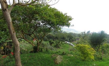 VENDO FINCA EN SAN ANTONIO DE TEQUENDAMA - LA VICTORIA