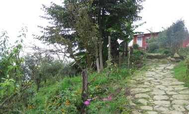 VENDO FINCA EN SAN ANTONIO DE TEQUENDAMA - LA VICTORIA