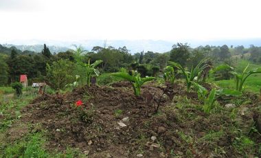 VENDO FINCA EN SAN ANTONIO DE TEQUENDAMA - LA VICTORIA