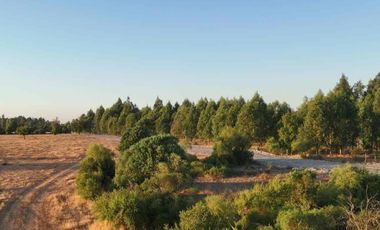 vendo parcela en Longavi, 5.000 m2 * Rol propio  * Listo para escriturar* Documentación al día (CBR / SII /SAG)    30 minutos de Longavi