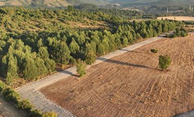 vendo parcela en Longavi, 5.000 m2 * Rol propio  * Listo para escriturar* Documentación al día (CBR / SII /SAG)    30 minutos de Longavi