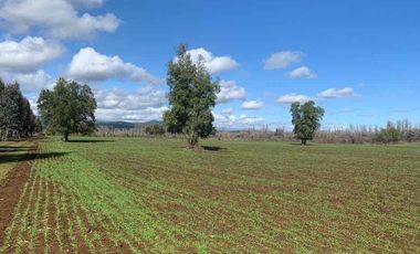 vendo parcela en Longavi, 5.000 m2 * Rol propio  * Listo para escriturar* Documentación al día (CBR / SII /SAG)    30 minutos de Longavi