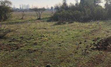 vendo parcela en Longavi, 5.000 m2 * Rol propio  * Listo para escriturar* Documentación al día (CBR / SII /SAG)    30 minutos de Longavi