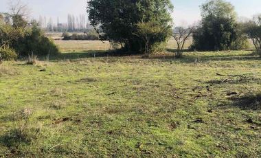 vendo parcela en Longavi, 5.000 m2 * Rol propio  * Listo para escriturar* Documentación al día (CBR / SII /SAG)    30 minutos de Longavi