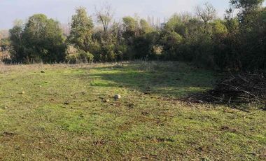 vendo parcela en Longavi, 5.000 m2 * Rol propio  * Listo para escriturar* Documentación al día (CBR / SII /SAG)    30 minutos de Longavi