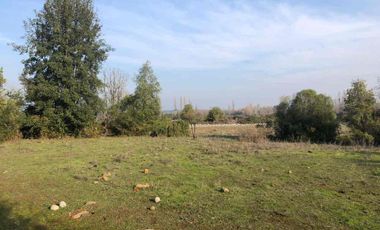 vendo parcela en Longavi, 5.000 m2 * Rol propio  * Listo para escriturar* Documentación al día (CBR / SII /SAG)    30 minutos de Longavi