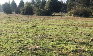 vendo parcela en Longavi, 5.000 m2 * Rol propio  * Listo para escriturar* Documentación al día (CBR / SII /SAG)    30 minutos de Longavi