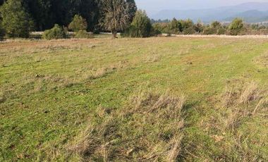 vendo parcela en Longavi, 5.000 m2 * Rol propio  * Listo para escriturar* Documentación al día (CBR / SII /SAG)    30 minutos de Longavi