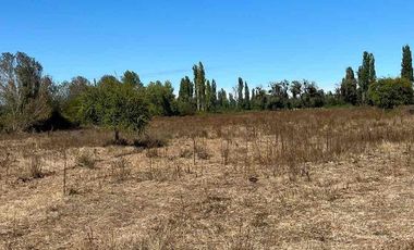 vendo parcela en Longavi, 5.000 m2 * Rol propio  * Listo para escriturar* Documentación al día (CBR / SII /SAG)    30 minutos de Longavi