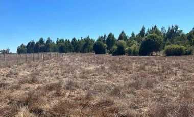 vendo parcela en Longavi, 5.000 m2 * Rol propio  * Listo para escriturar* Documentación al día (CBR / SII /SAG)    30 minutos de Longavi