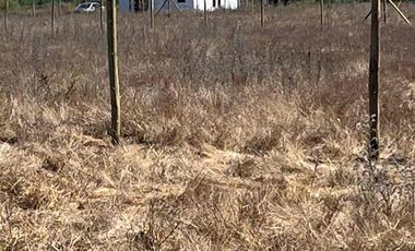 vendo parcela en Longavi, 5.000 m2 * Rol propio  * Listo para escriturar* Documentación al día (CBR / SII /SAG)    30 minutos de Longavi