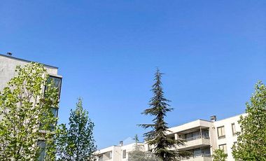 Excelente, Amplio Y Luminoso Dpto 2d-2b Oriente