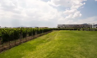HOTEL BOUTIQUE A LA VENTA EN EZEQUIEL MONTES, QUERETARO. REMATE ADJUDICADO