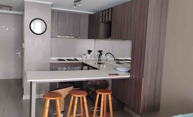 Arriendo departamento año corrido o Marzo a diciembre.