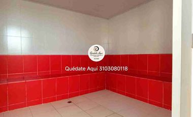 Arriendo apartamento amoblado céntrico