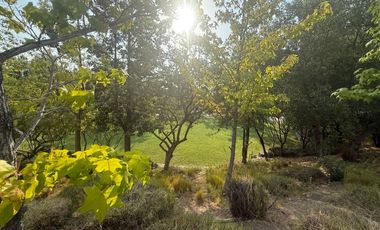 Sitio en venta, Los Ríos, Chicureo Oriente, De 900 mts.2