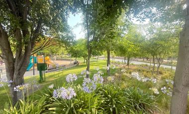 Sitio en venta, Los Ríos, Chicureo Oriente, De 900 mts.2