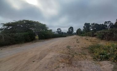 Terreno en Venta – Finca María, Pachacamac (2,597 m²)