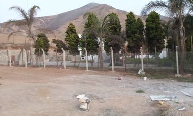 Terreno en Venta – Finca María, Pachacamac (2,597 m²)