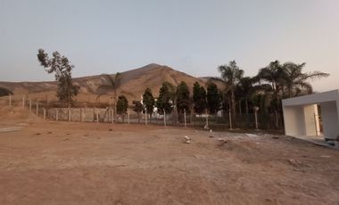 Terreno en Venta – Finca María, Pachacamac (2,597 m²)