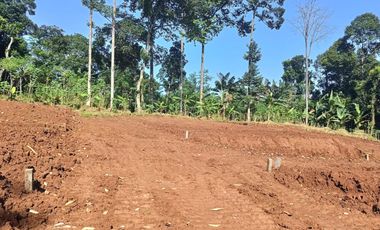Tanah murah di gunungpati lokasi dijln mayaran gunungpati bisa di tempo
