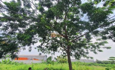Tanah Luas Siap Kembangkan! 2,7 Ha Dekat Tol Jakarta – Cikarang Cocok Untuk Proyek Besar Dan Pabrik Industri
