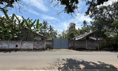 Dijual Tanah SHM Luas 3131 m2 di Jalan Bulu Sari Raya Salatiga Cocok untuk DEVELOPER