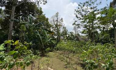 Dijual Tanah SHM Luas 3131 m2 di Jalan Bulu Sari Raya Salatiga Cocok untuk DEVELOPER