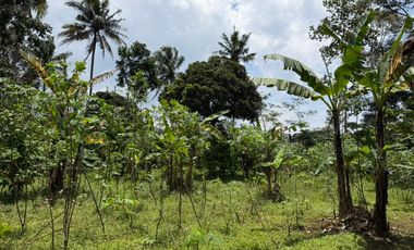 Dijual Tanah SHM Luas 3131 m2 di Jalan Bulu Sari Raya Salatiga Cocok untuk DEVELOPER