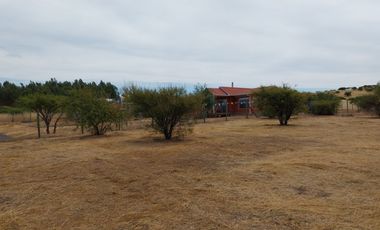 Parcela 5000 M2 Secano Costero Mallermo Marchigue