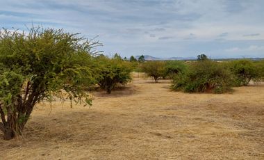 Parcela 5000 M2 Secano Costero Mallermo Marchigue