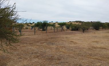 Parcela 5000 M2 Secano Costero Mallermo Marchigue