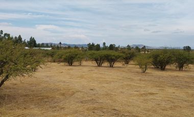 Parcela 5000 M2 Secano Costero Mallermo Marchigue