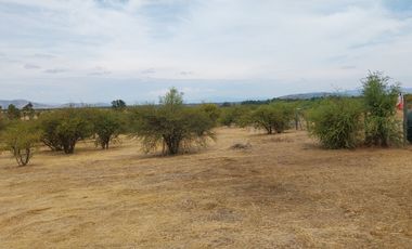 Parcela 5000 M2 Secano Costero Mallermo Marchigue