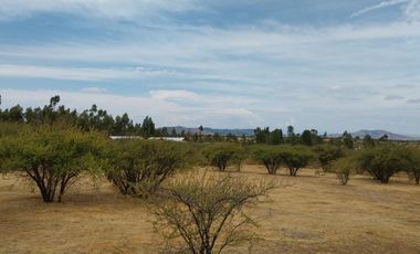 Parcela 5000 M2 Secano Costero Mallermo Marchigue