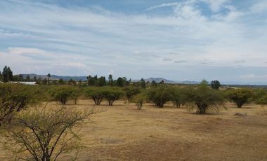 Parcela 5000 M2 Secano Costero Mallermo Marchigue