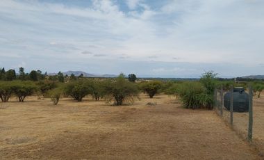 Parcela 5000 M2 Secano Costero Mallermo Marchigue