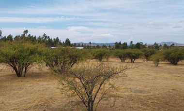 Parcela 5000 M2 Secano Costero Mallermo Marchigue