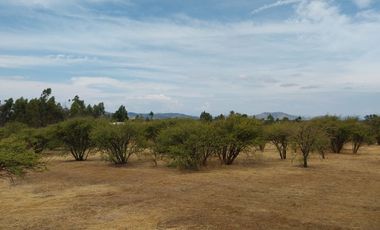 Parcela 5000 M2 Secano Costero Mallermo Marchigue