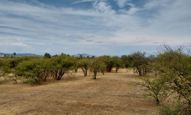 Parcela 5000 M2 Secano Costero Mallermo Marchigue