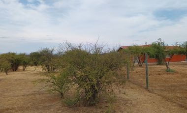 Parcela 5000 M2 Secano Costero Mallermo Marchigue