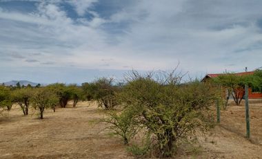 Parcela 5000 M2 Secano Costero Mallermo Marchigue