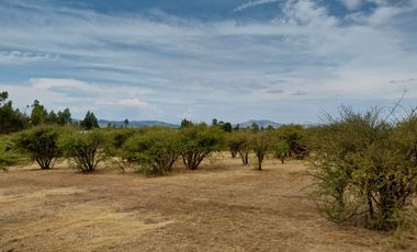 Parcela 5000 M2 Secano Costero Mallermo Marchigue