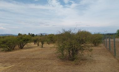 Parcela 5000 M2 Secano Costero Mallermo Marchigue