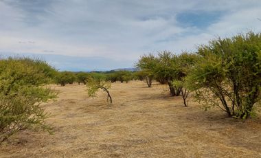 Parcela 5000 M2 Secano Costero Mallermo Marchigue