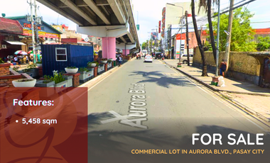 Lot for sale in EDSA, Barangay 147, Zone 16, District 1, Pasay, Southern Manila District